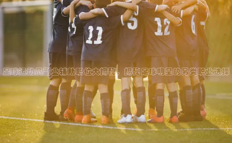 天辰平台测速登录百度翻译足球运动员副业辅助职位大揭秘，揭秘足球明星的另类职业选择