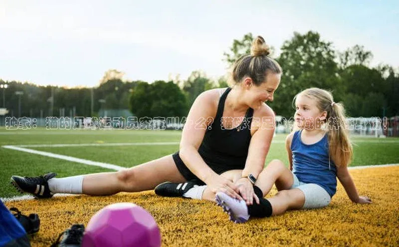 天辰登录连接百度智能门户独家：猫的足球运动员究竟叫什么？猫咪在足球领域的神秘身份！