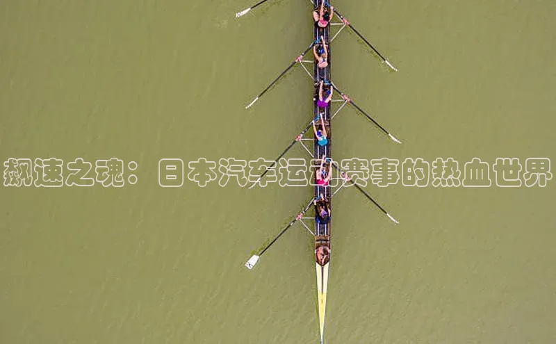 天辰注册平台度小满理财飙速之魂：日本汽车运动赛事的热血世界