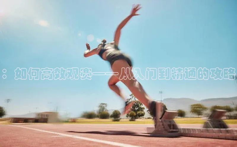 天辰注册登录官网知乎：如何高效观赛——从入门到精通的攻略