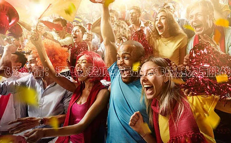 飞跃激情：深度体验顶级运动赛事的魅力与挑战