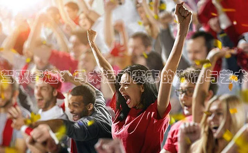 驾驭奇迹：马术运动赛事的激情与艺术