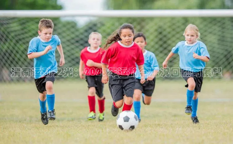 渭南运动之光：2023年运动会盛况回顾与展望