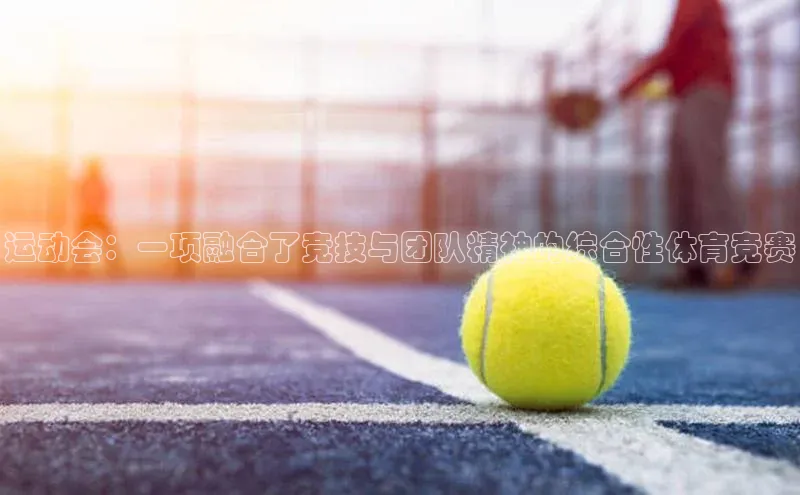 运动会：一项融合了竞技与团队精神的综合性体育竞赛