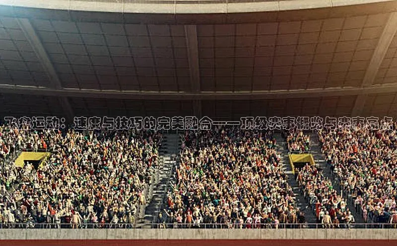 飞盘运动：速度与技巧的完美融合——顶级赛事概览与赛事亮点