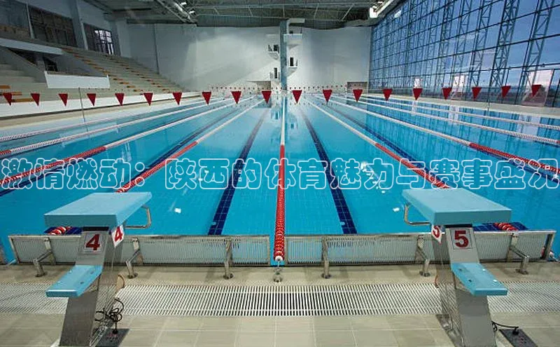 激情燃动：陕西的体育魅力与赛事盛况