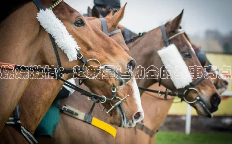 燃烧激情：超新星运动会的赛事亮点