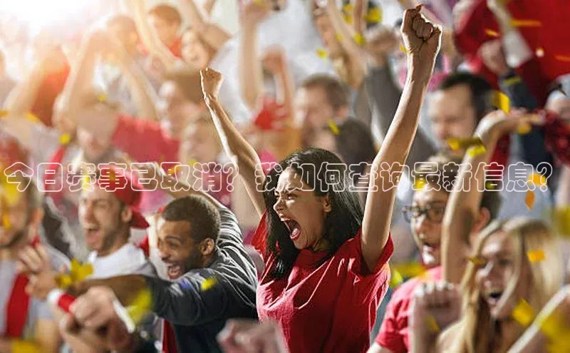 今日赛事已取消？我如何查询最新信息？