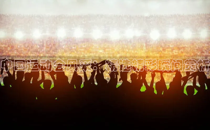 中国运动会风采：精选精彩瞬间赏析